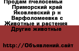  Продам пчелосемьи .  - Приморский край, Яковлевский р-н, Варфоломеевка с. Животные и растения » Другие животные   
